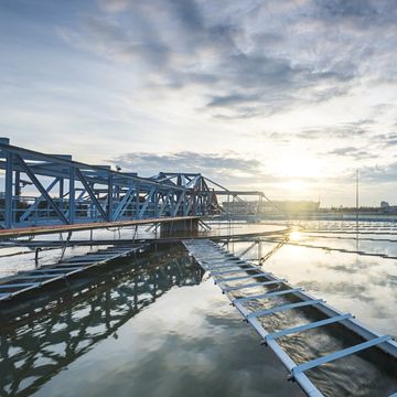 Net-zero Survey: Utilities Racing to Decarbonize