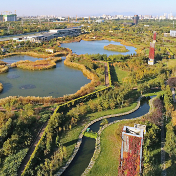 The race to net zero: Meet four global water utilities setting the pace on decarbonization