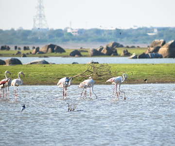 Partnering with our customers to solve water across India