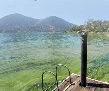 Xylem’s innovative underwater vehicle gives new insights into harmful algal blooms