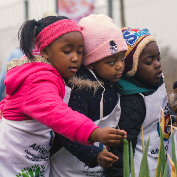 ll Soweto Garden Network: Creare un nuovo modello per nutrire le comunità