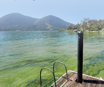 Un veicolo sottomarino di Xylem offre nuovi spunti sulle fioriture di alghe tossiche