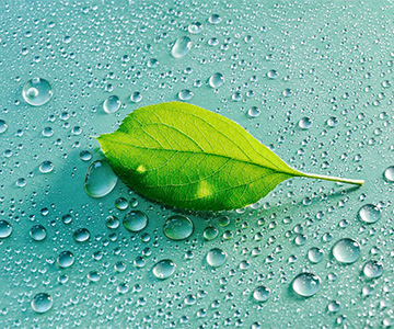 Xylem named to Newsweek’s America's Most Responsible Companies 2021