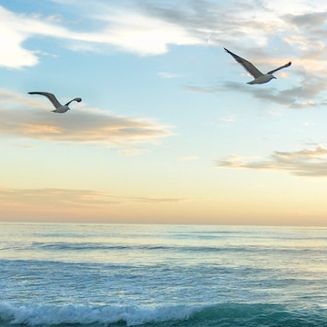World Oceans Day 2023: Time to put our oceans first