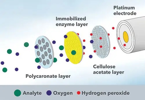 YSI Enzyme Electrode Technology