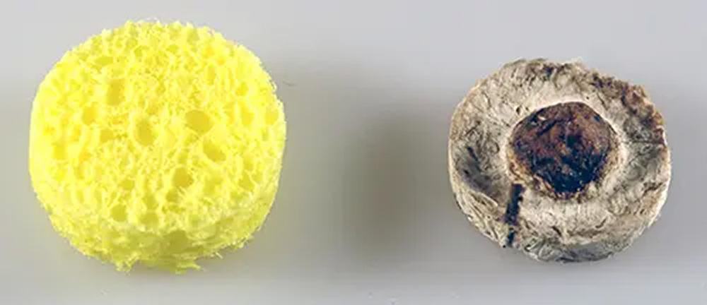 clean sponge vs fouled paper towel for DO probe