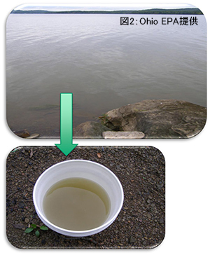 algal-bloom-fig02-2.jpg
