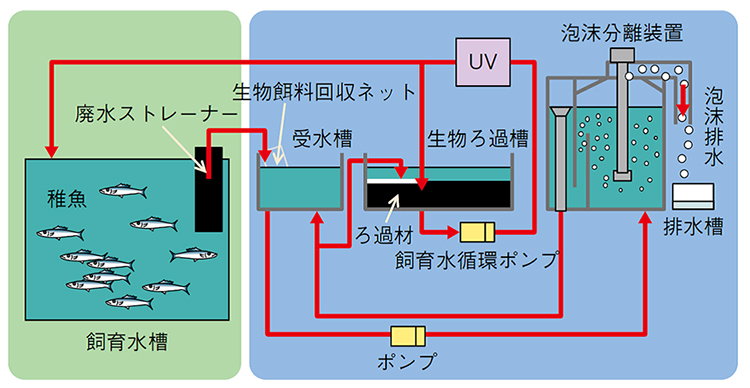 ja-aquaculture-tank-flow.jpg